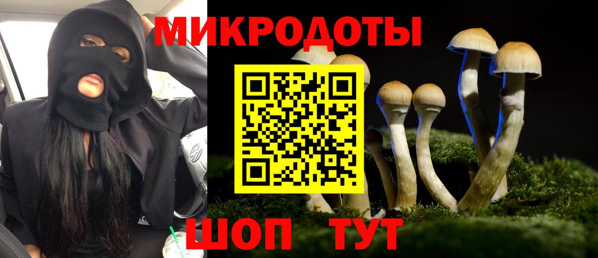 Псилоцибиновые грибы прущие грибы  Вход с VPN  Канаш 