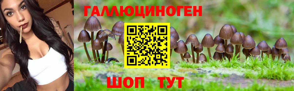 Галлюциногенные грибы мицелий Канаш