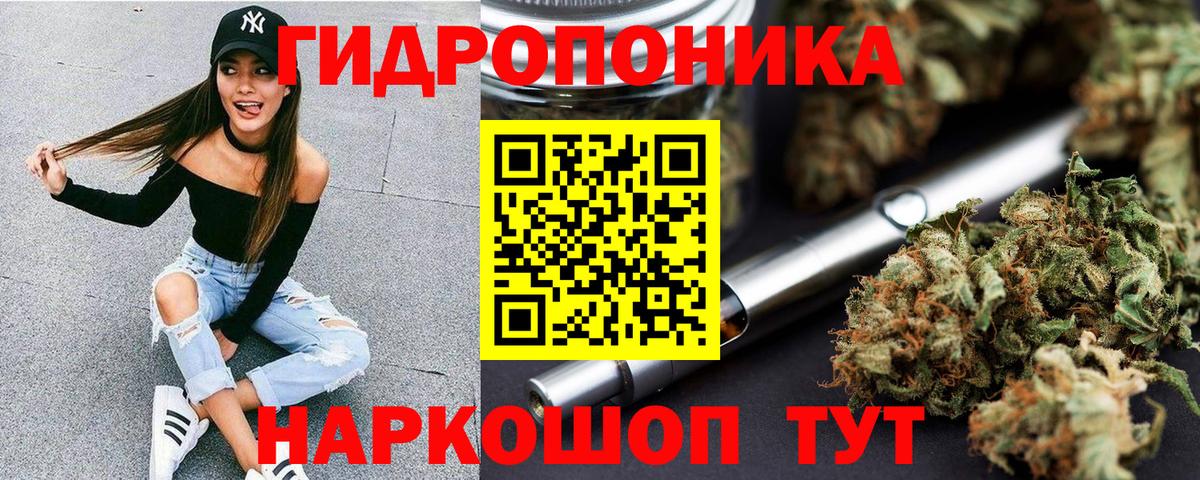 Марихуана семена  Вход с VPN  Конопля семена  Канаш 
